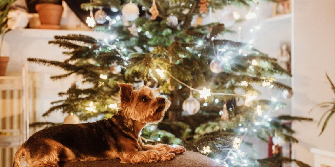 Create Magic with a Pink 6ft Pre-Lit Christmas Tree